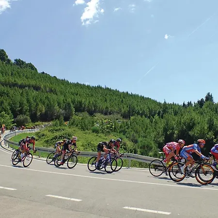 Apartment Two-bedroom With Sea View 06